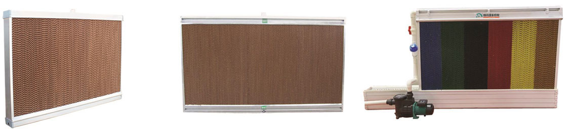 1703130723963062.jpg 1701740621924598.jpg