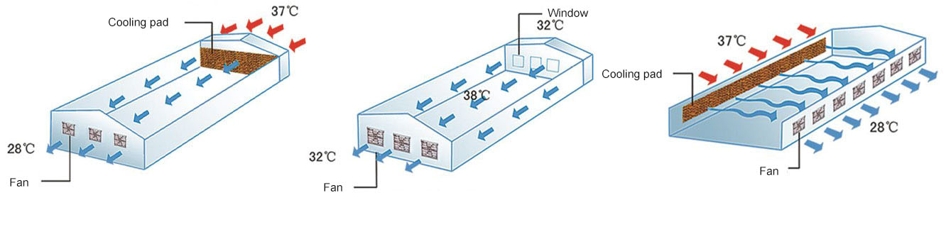 1703130737952606.jpg 1701741641901425.jpg